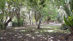  Sw 120th St