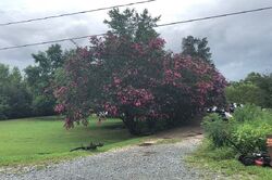 Boggs Rd