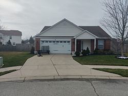  Basswood Ct