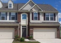 Tradewinds Cv