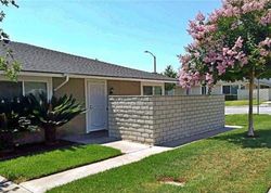  Brooktree Cir
