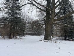  Elwell Rd