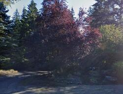  266th Ave Se