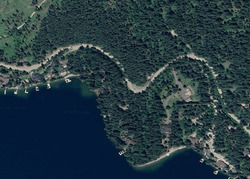 Whitefish