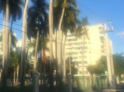  Nw 7th St Apt 305