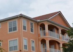  Culbreath Key Way Apt