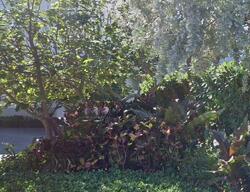  Inlet Way Apt 216