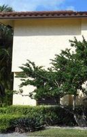  Fox Hollow Dr Apt G