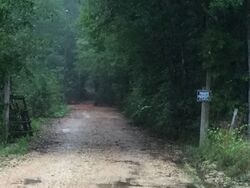  Hammond Sylvest Rd