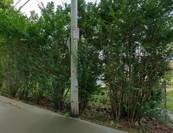  Holly St