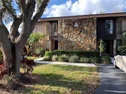  Tarpon Woods Blvd Apt