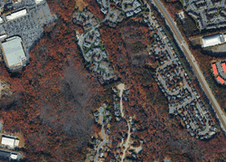  Roseberry Ct