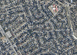  Leafy Hollow Ct