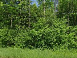  State Highway 11c