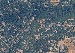  Crestline Dr