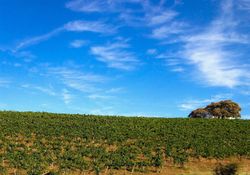  Gravel Rd
