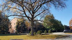  Carriageway Dr Apt 20