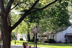  Webster St