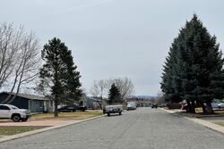 Winchester Dr