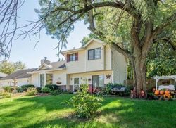  Magnolia Dr