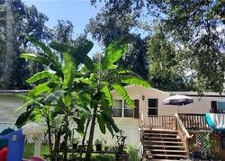 Homosassa