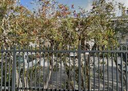  Nw 24th Ct Apt 312