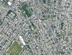  Forrest Ave