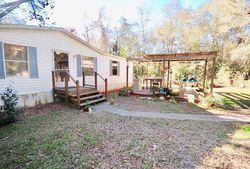 Alachua
