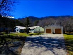 Spruce Pine