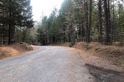  Forest Glen Dr