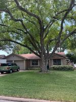  Lawngate Dr