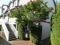Puyallup