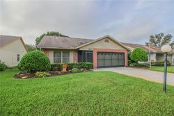 Scotch Pine Dr