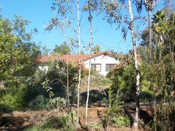 Jamul