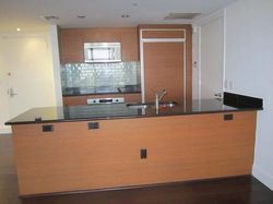  Biscayne Blvd Apt 240