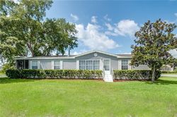  Spanish Moss Cir