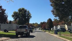 Timothy Dr
