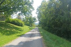 Hawthorn Rd