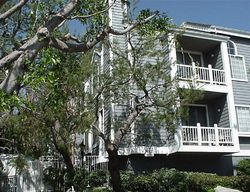  Falmouth Ave Unit 310
