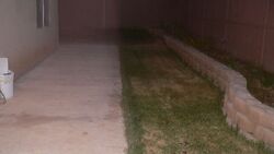 Menifee