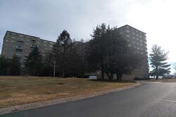 Bryn Mawr