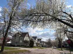  Treadway Ave