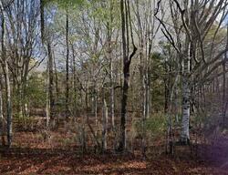  Trafton Rd