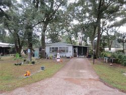 Silver Springs