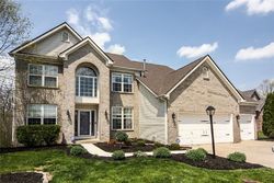  Timber Walk Dr
