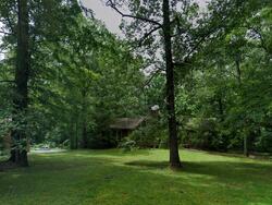 Kingston Springs