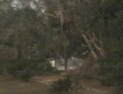  S Palm Ave