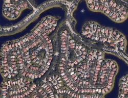  Palmetto Trl