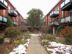  N Damen Ave Apt 2w