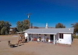Joshua Tree